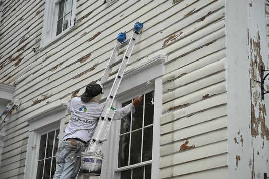 New Paint Project Now Underway